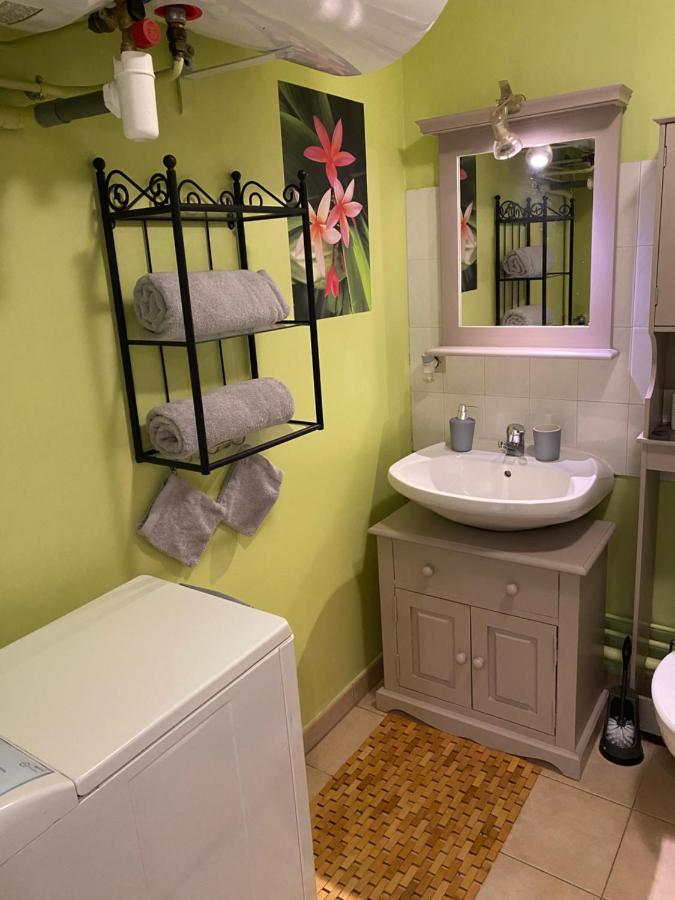 Appartement Cosy Avec Jardin Privatif Et Garage Fontainebleau